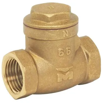 PP Check Valve
